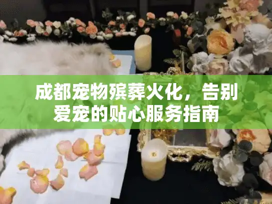 成都宠物殡葬火化，告别爱宠的贴心服务指南