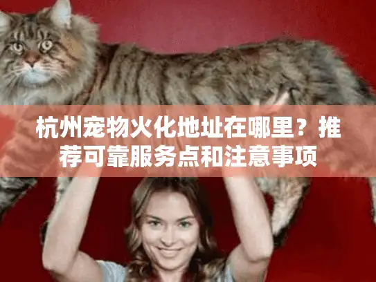 杭州宠物火化地址在哪里？推荐可靠服务点和注意事项