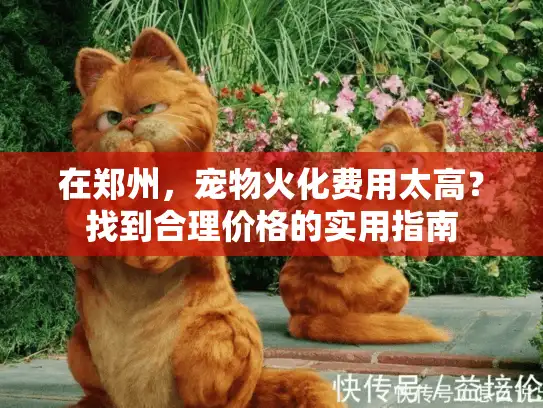 在郑州，宠物火化费用太高？找到合理价格的实用指南