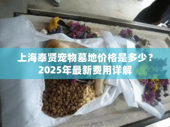 上海奉贤宠物墓地价格是多少？2025年最新费用详解