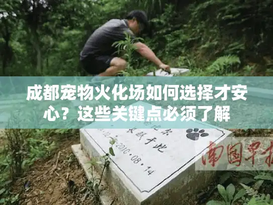 成都宠物火化场如何选择才安心？这些关键点必须了解