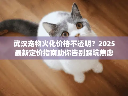 武汉宠物火化价格不透明？2025最新定价指南助你告别踩坑焦虑