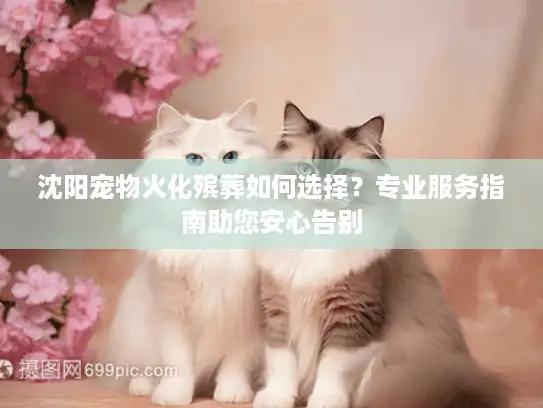沈阳宠物火化殡葬如何选择？专业服务指南助您安心告别