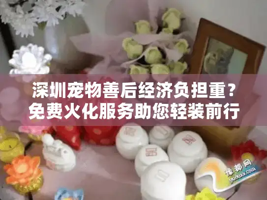深圳宠物善后经济负担重？免费火化服务助您轻装前行