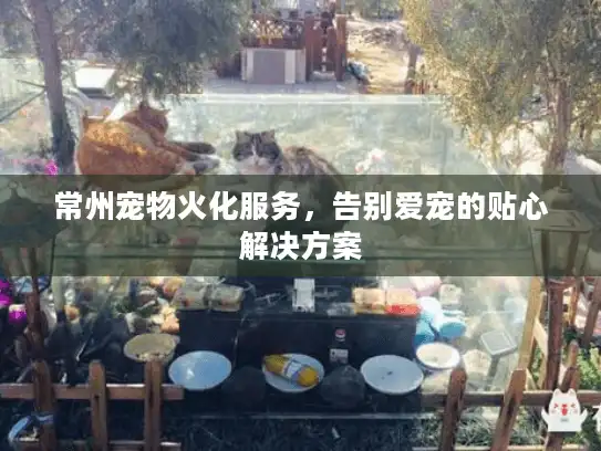 常州宠物火化服务，告别爱宠的贴心解决方案