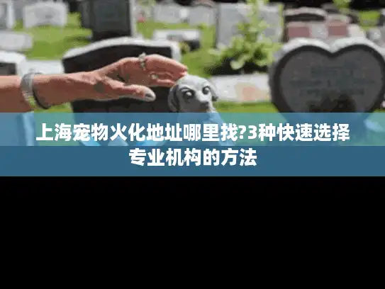 上海宠物火化地址哪里找?3种快速选择专业机构的方法