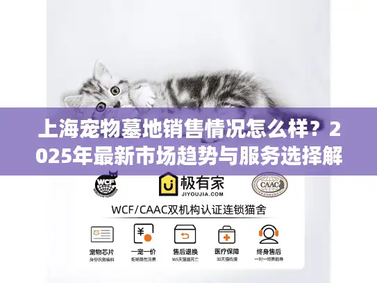 上海宠物墓地销售情况怎么样？2025年最新市场趋势与服务选择解析