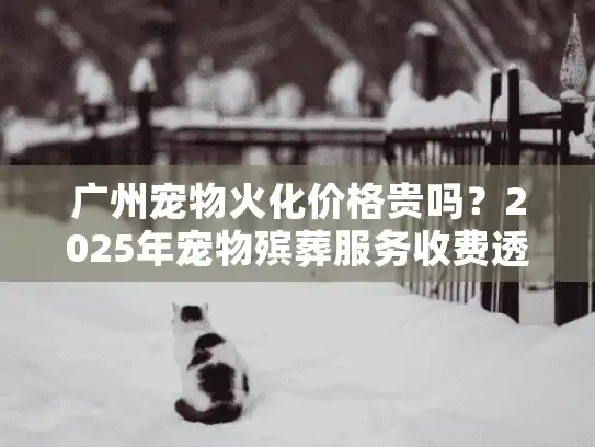 广州宠物火化价格贵吗？2025年宠物殡葬服务收费透明指南