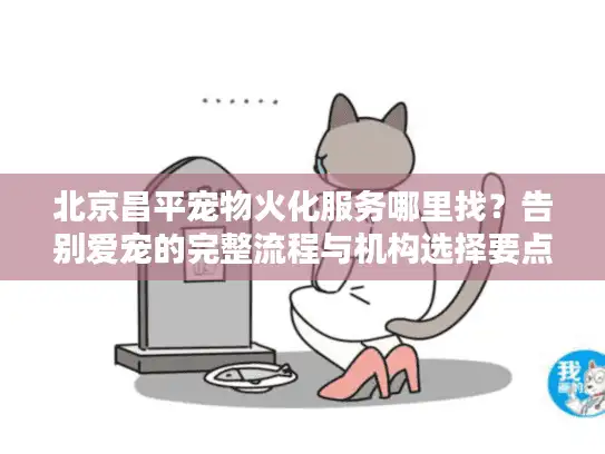 北京昌平宠物火化服务哪里找？告别爱宠的完整流程与机构选择要点