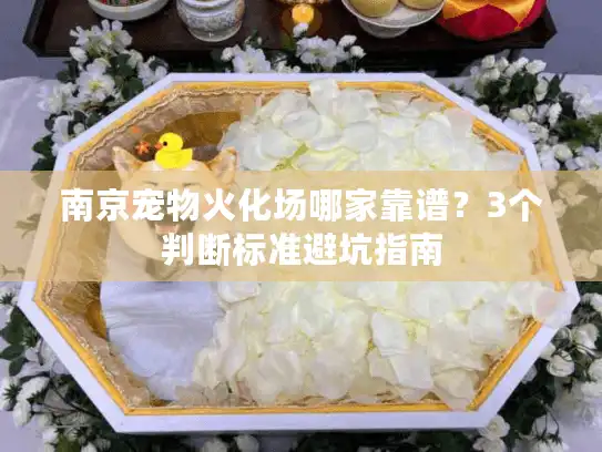 南京宠物火化场哪家靠谱？3个判断标准避坑指南