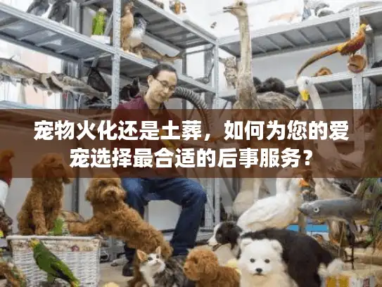 宠物火化还是土葬，如何为您的爱宠选择最合适的后事服务？