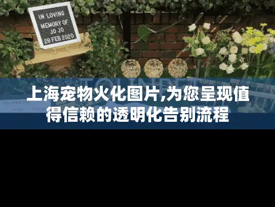 上海宠物火化图片,为您呈现值得信赖的透明化告别流程