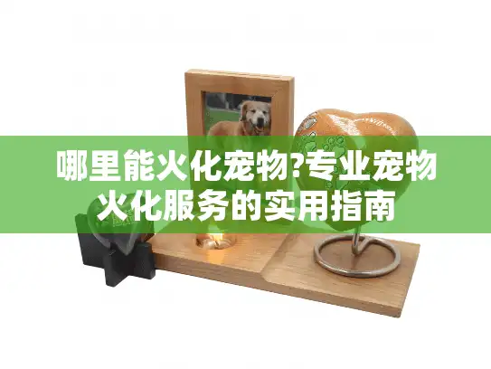 哪里能火化宠物?专业宠物火化服务的实用指南