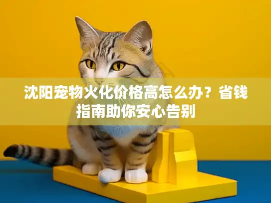 沈阳宠物火化价格高怎么办？省钱指南助你安心告别