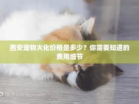 西安宠物火化价格是多少？你需要知道的费用细节
