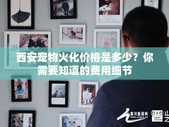 西安宠物火化价格是多少？你需要知道的费用细节