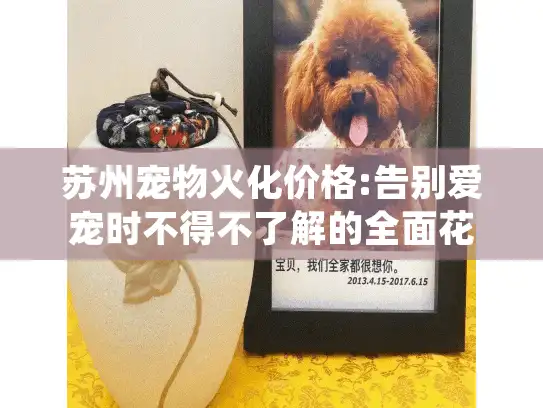 苏州宠物火化价格:告别爱宠时不得不了解的全面花费解析