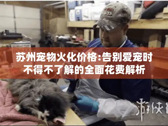 苏州宠物火化价格:告别爱宠时不得不了解的全面花费解析