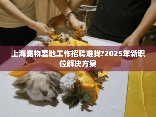 上海宠物墓地工作招聘难找?2025年新职位解决方案
