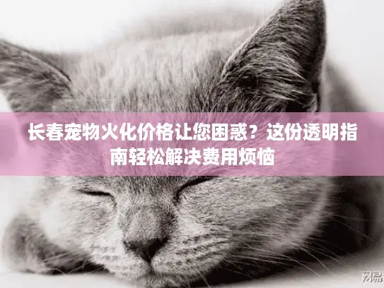 长春宠物火化价格让您困惑？这份透明指南轻松解决费用烦恼