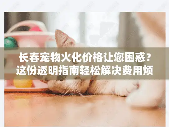 长春宠物火化价格让您困惑？这份透明指南轻松解决费用烦恼