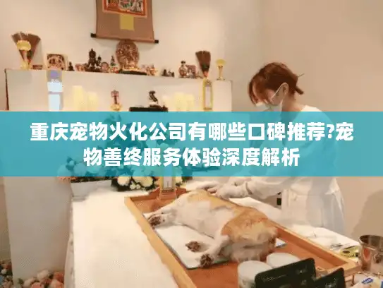 重庆宠物火化公司有哪些口碑推荐?宠物善终服务体验深度解析