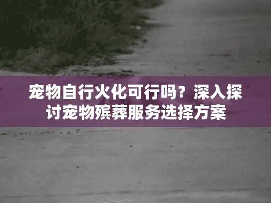 宠物自行火化可行吗？深入探讨宠物殡葬服务选择方案