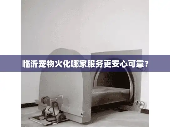 临沂宠物火化哪家服务更安心可靠？