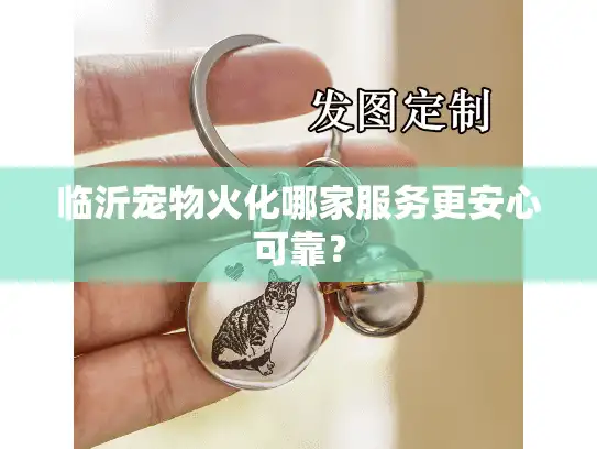 临沂宠物火化哪家服务更安心可靠？