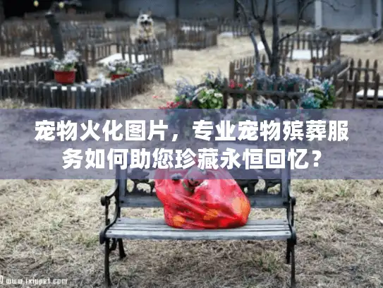 宠物火化图片，专业宠物殡葬服务如何助您珍藏永恒回忆？