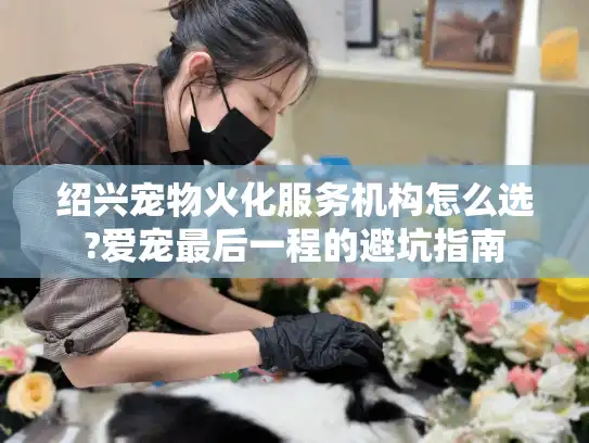 绍兴宠物火化服务机构怎么选?爱宠最后一程的避坑指南