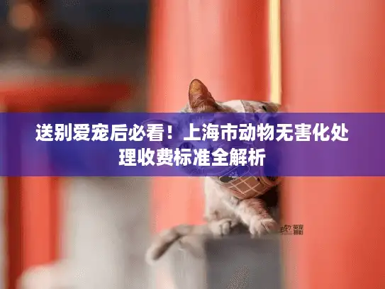 送别爱宠后必看！上海市动物无害化处理收费标准全解析