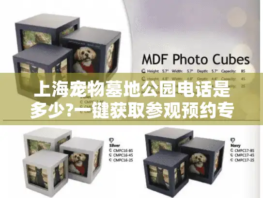 上海宠物墓地公园电话是多少?一键获取参观预约专线