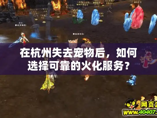 在杭州失去宠物后，如何选择可靠的火化服务？