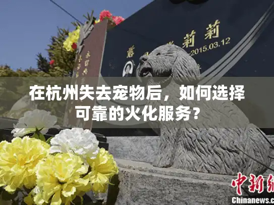 在杭州失去宠物后，如何选择可靠的火化服务？