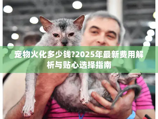 宠物火化多少钱?2025年最新费用解析与贴心选择指南