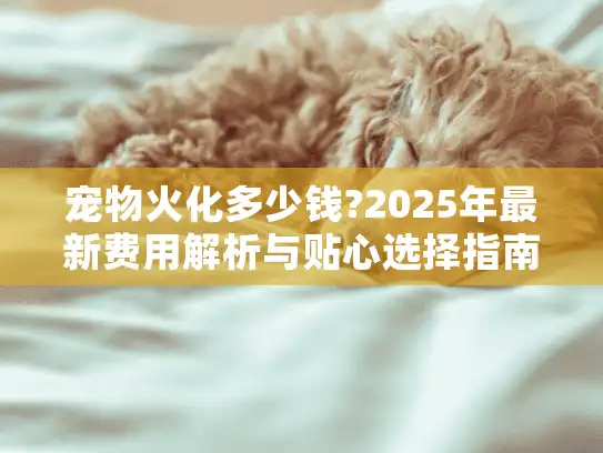 宠物火化多少钱?2025年最新费用解析与贴心选择指南