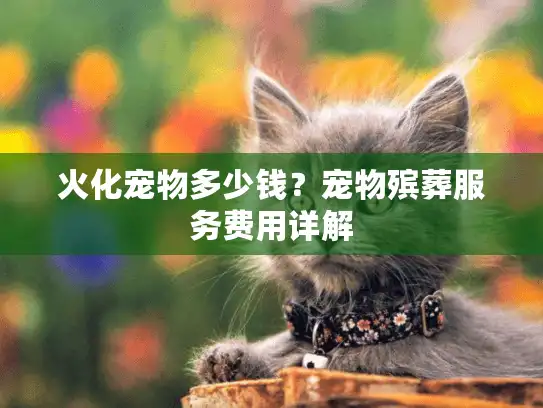火化宠物多少钱？宠物殡葬服务费用详解