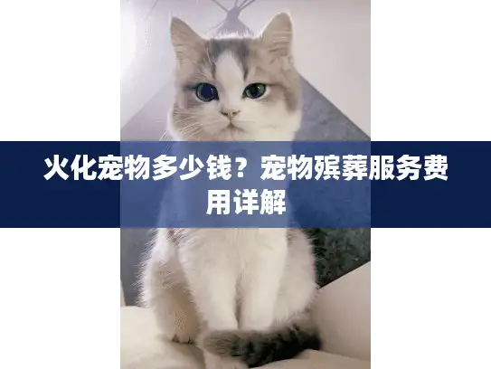 火化宠物多少钱？宠物殡葬服务费用详解