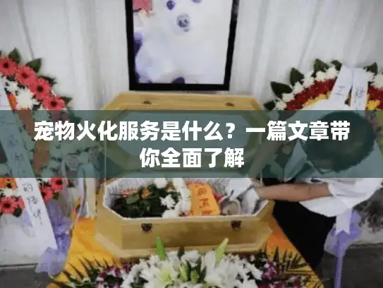 宠物火化服务是什么？一篇文章带你全面了解