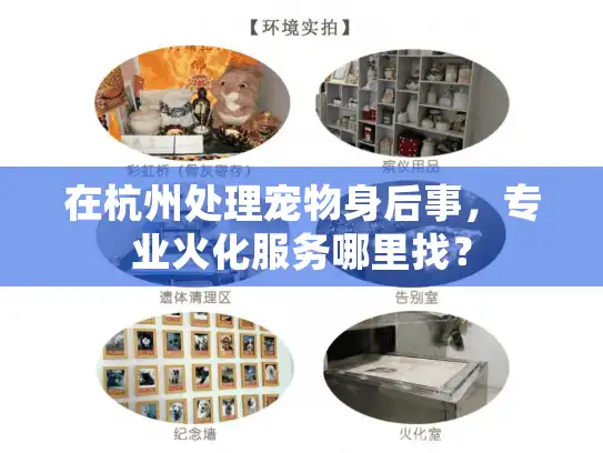 在杭州处理宠物身后事，专业火化服务哪里找？