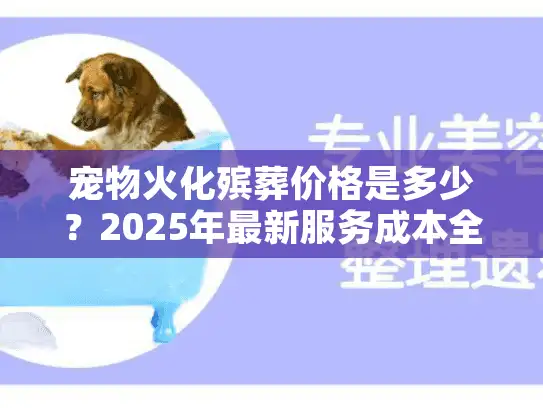宠物火化殡葬价格是多少？2025年最新服务成本全面揭秘