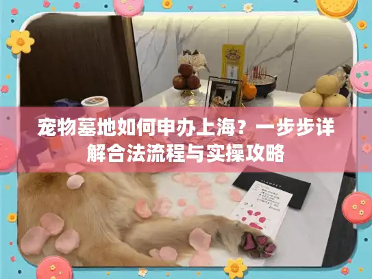 宠物墓地如何申办上海？一步步详解合法流程与实操攻略