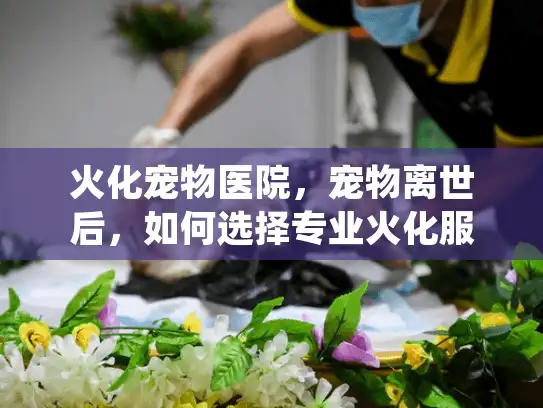 火化宠物医院，宠物离世后，如何选择专业火化服务并避免常见陷阱？