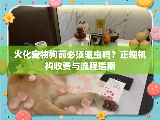 火化宠物狗前必须驱虫吗？正规机构收费与流程指南