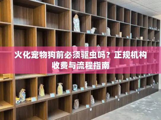火化宠物狗前必须驱虫吗？正规机构收费与流程指南