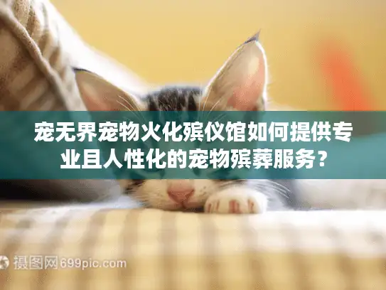 宠无界宠物火化殡仪馆如何提供专业且人性化的宠物殡葬服务？