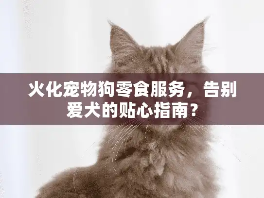 火化宠物狗零食服务，告别爱犬的贴心指南？