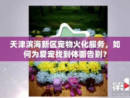 天津滨海新区宠物火化服务，如何为爱宠找到体面告别？