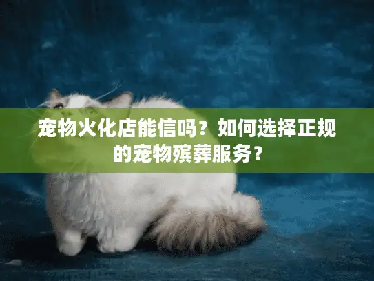 宠物火化店能信吗？如何选择正规的宠物殡葬服务？